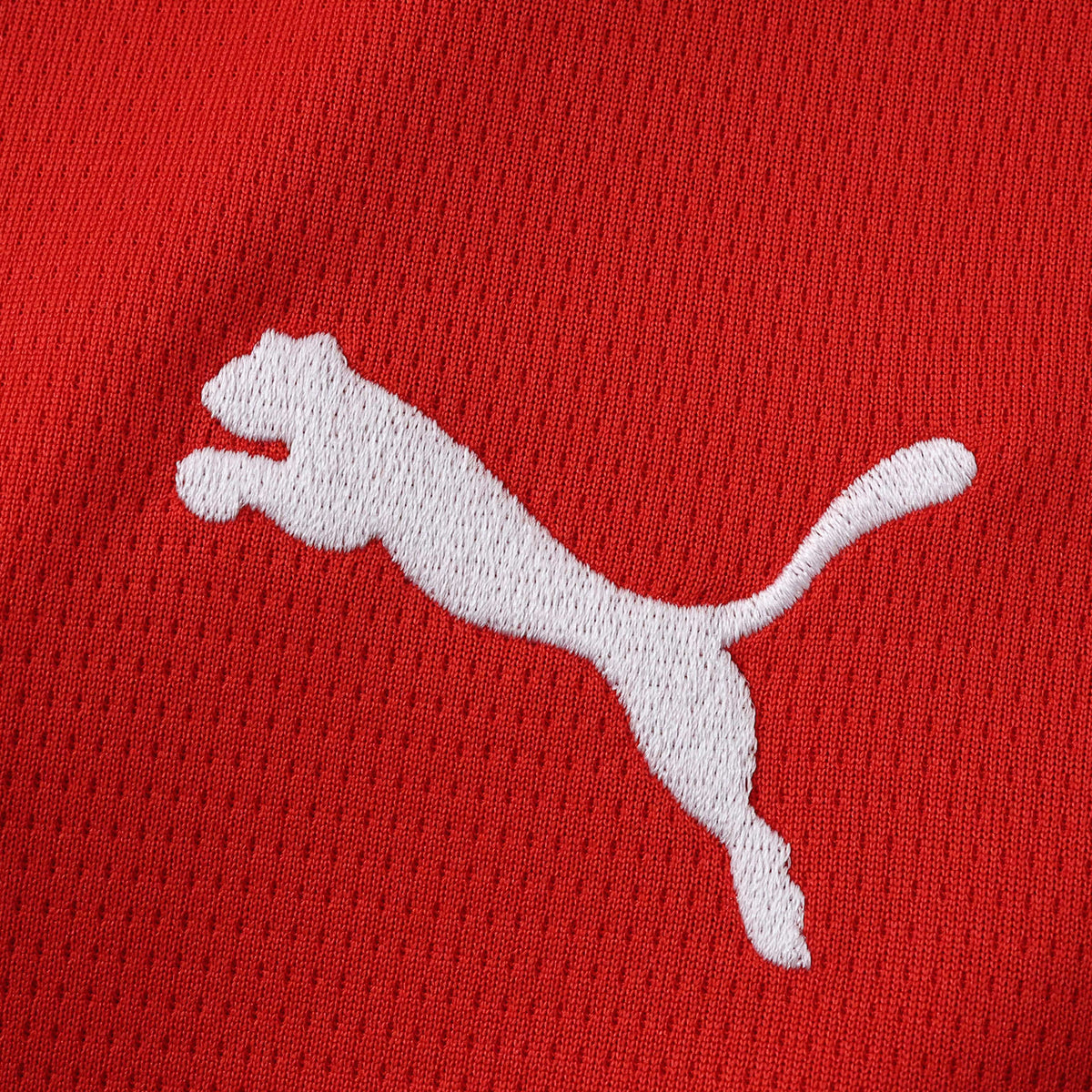 Maillot Autriche Domicile 2026