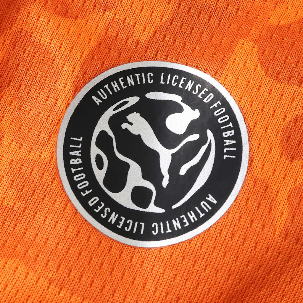Maillot Côte d'Ivoire Domicile 2026
