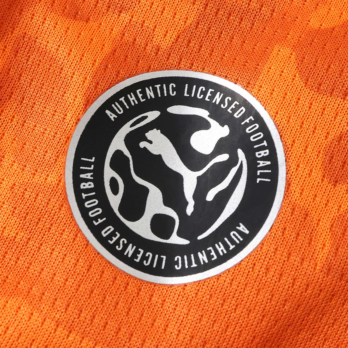 Maillot Côte d'Ivoire Domicile 2026