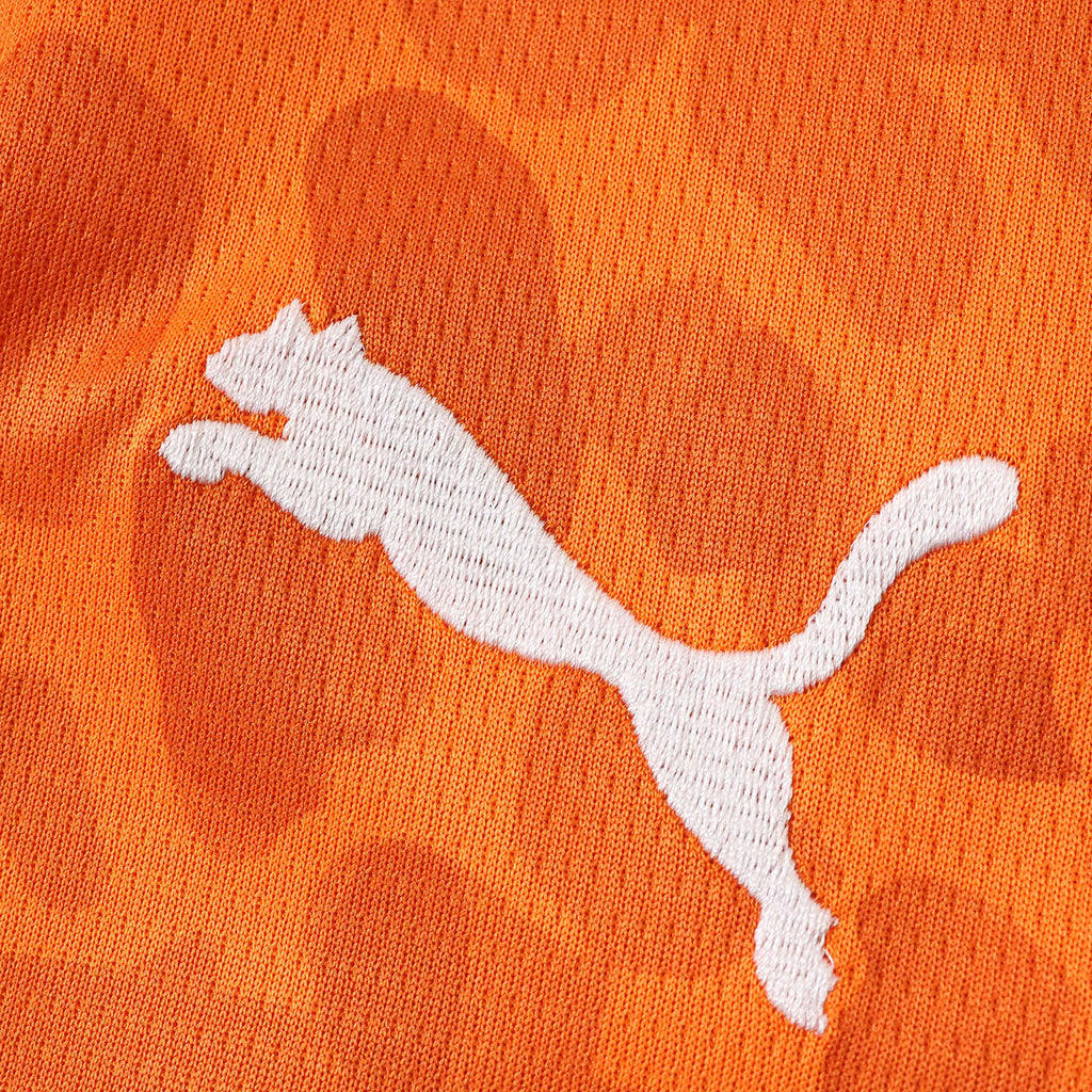 Maillot Côte d'Ivoire Domicile 2026