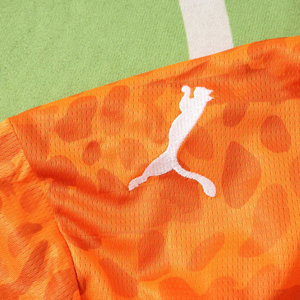 Maillot Côte d'Ivoire Domicile 2026