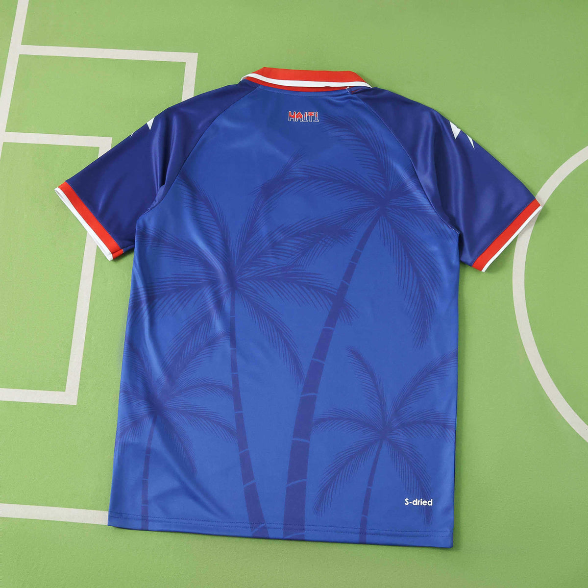 Maillot Haïti Domicile 2026