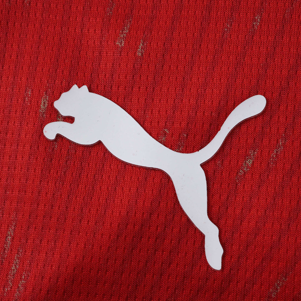 Maillot Suisse Domicile 2026